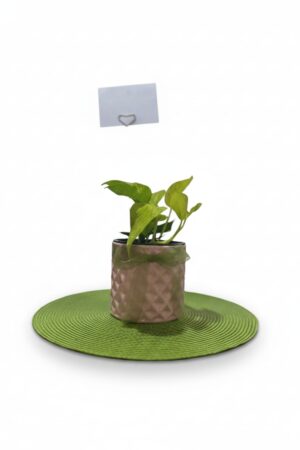 Planta de la fortaleza